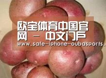 产品展示标题1