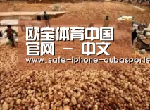 种植基地二