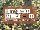 种植基地七