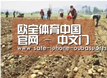 种植基地一