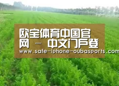 种植基地四