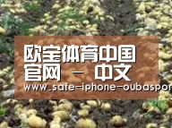 种植基地八(图1)