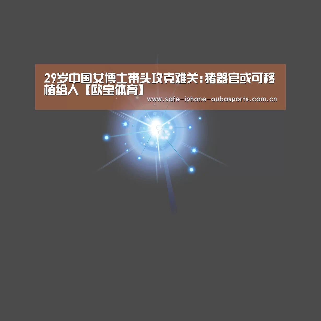 欧宝体育