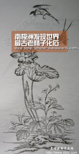 欧宝体育