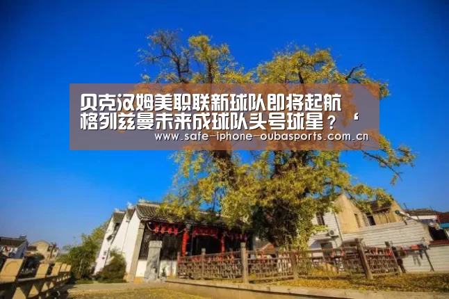 欧宝体育